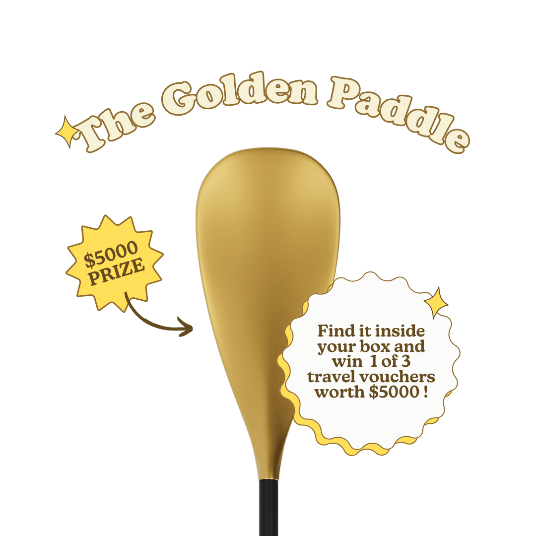 The Old School - Maddle SS24 | Inflatable Paddle board iSUP